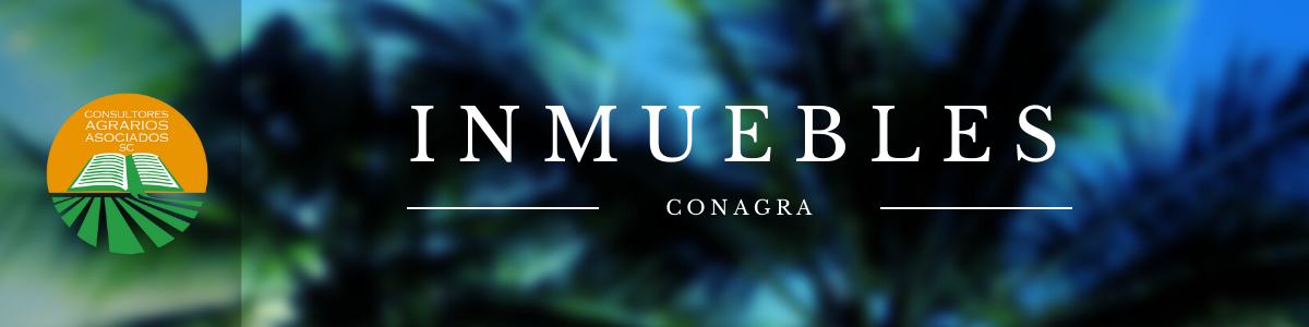 Inmuebles - Consultores Agrarios Asociados