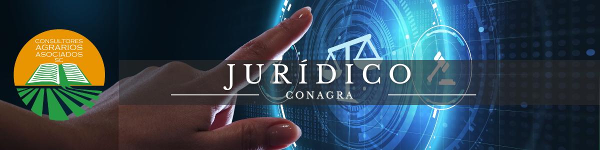 Jurídico - Banner