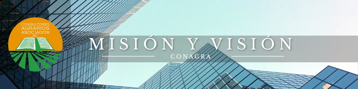 Misión y Visión