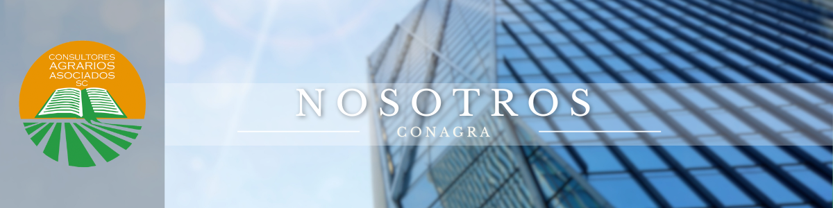Nosotros