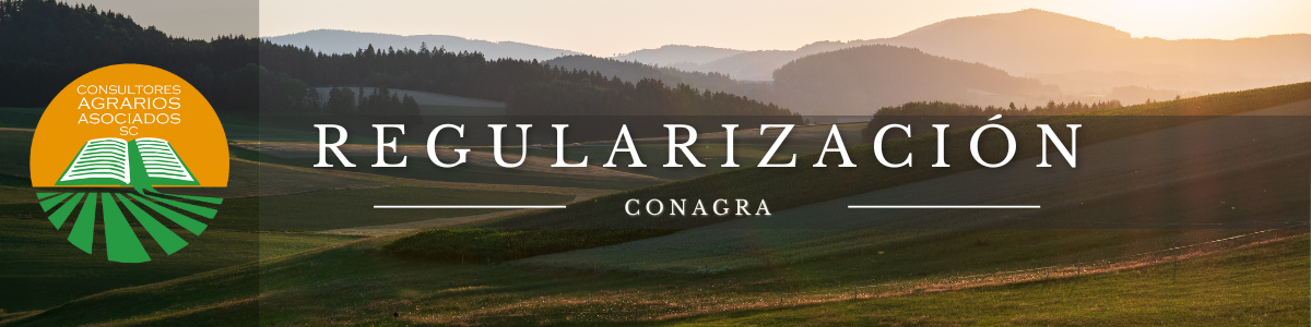 Regularización - Banner - CONAGRA
