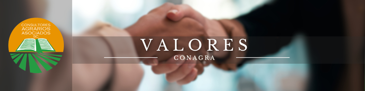 Valores Banner
