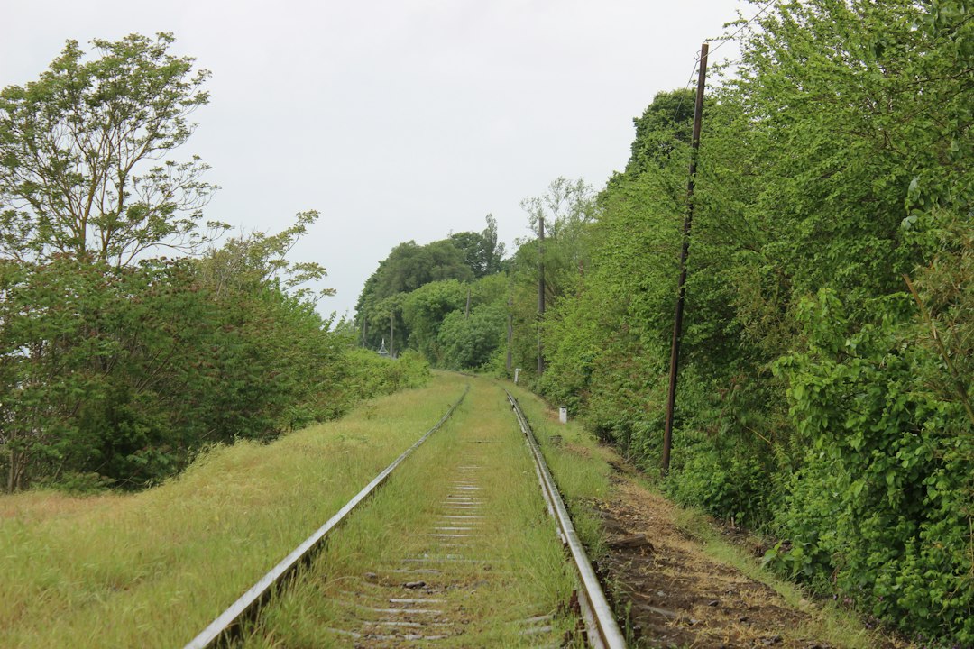 Vías ferroviarias en un paisaje verde, imagen ilustrativa.