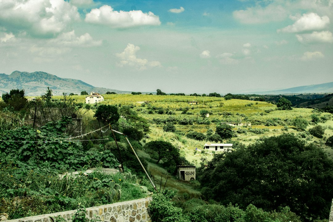 Vista de paisaje rural mexicano, imagen ilustrativa del Boletín CONAGRA