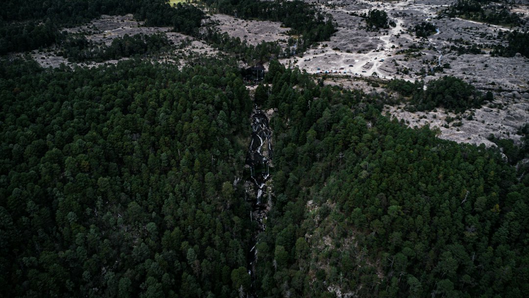 Río y bosque visto desde el aire