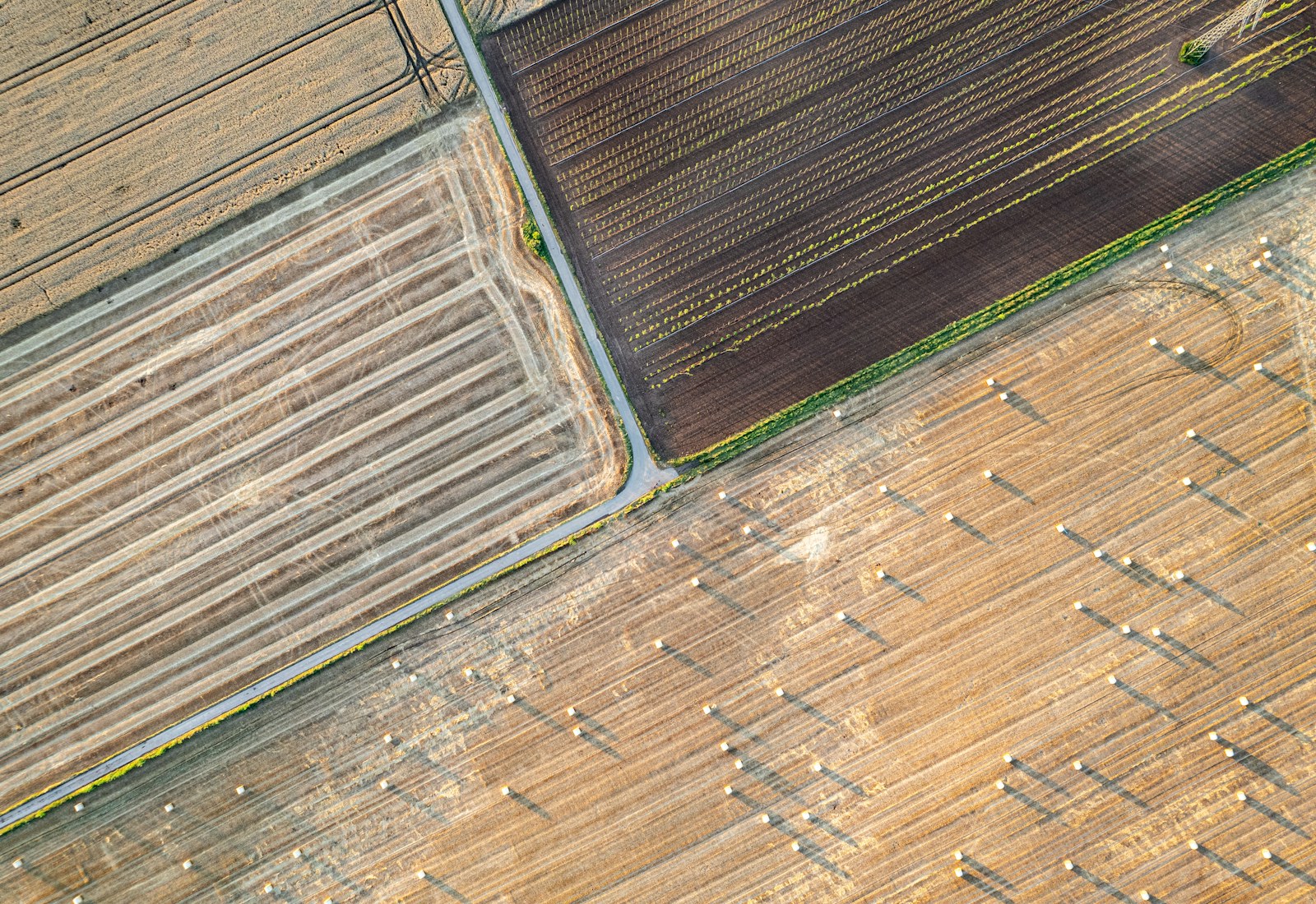 Vista aérea ilustrativa de parcelas y caminos rurales; no corresponde a un expediente de CONAGRA